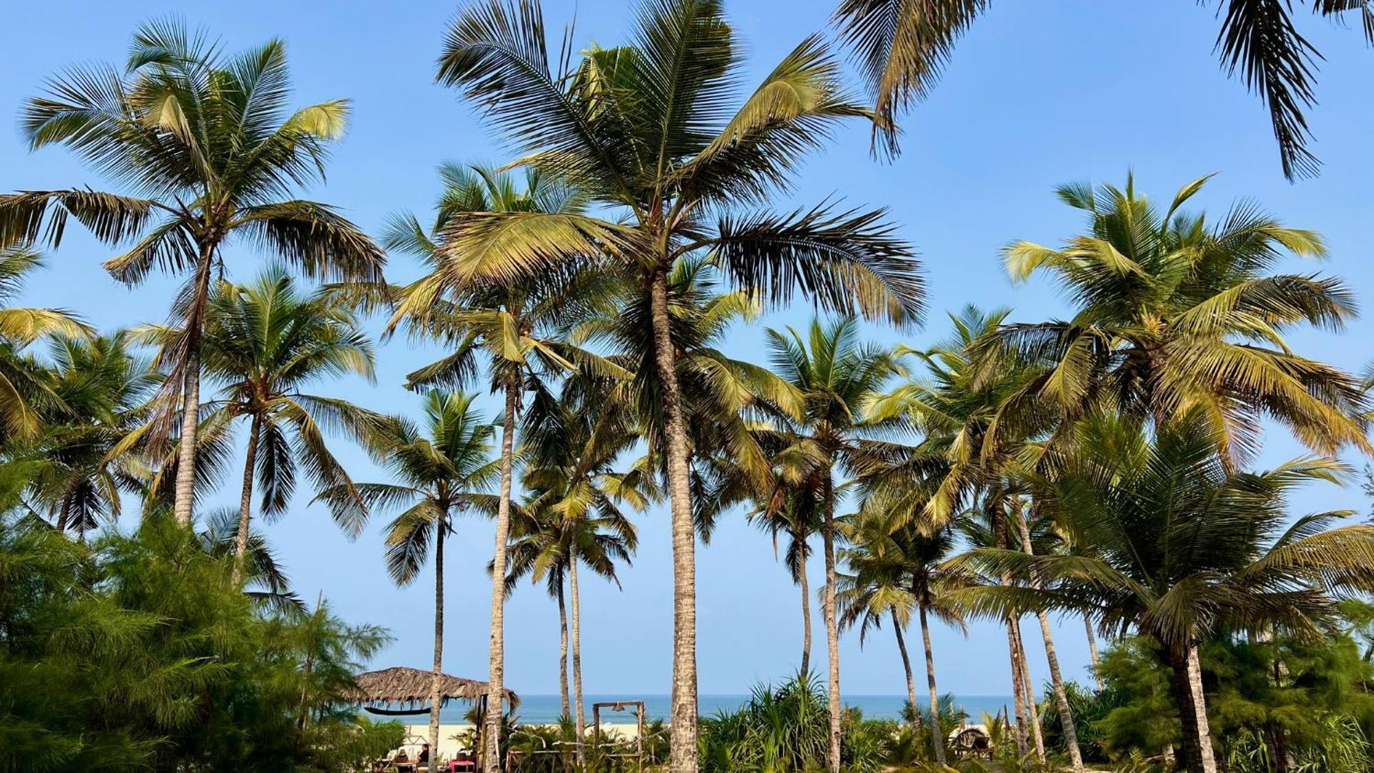 Fiesta - Beachfront Getaway Verna